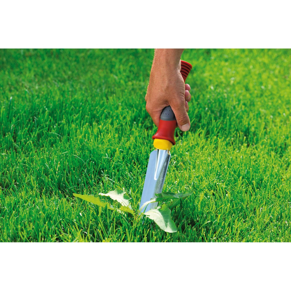 Wolf-garten onkruidsteker ks-2k - softgrip - handgereedschap