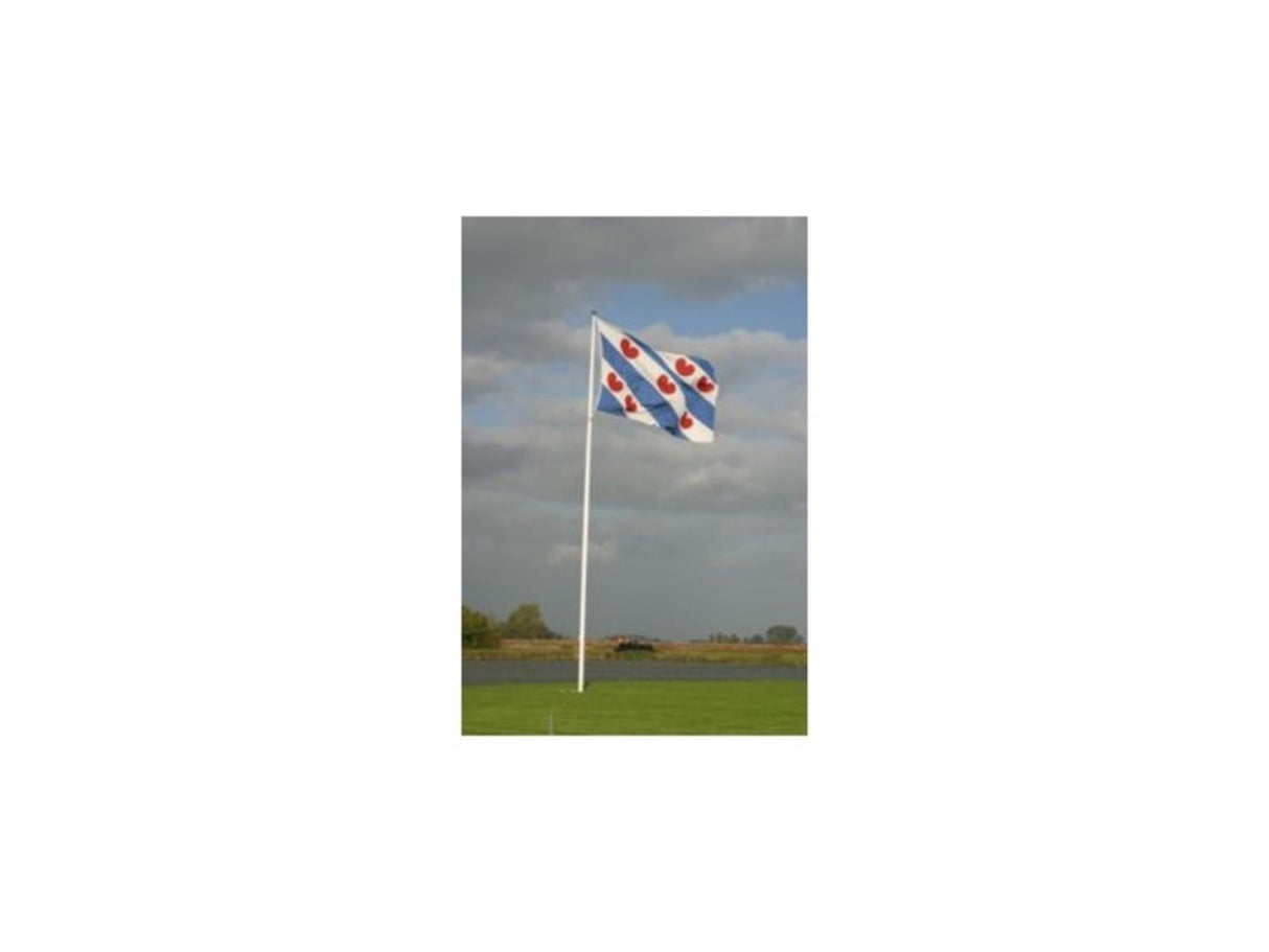 Dokkumer vlaggen centrale vlag friesland 20x30 cm