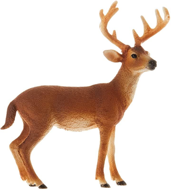 Schleich wild life - witstaarthert - speelfiguur - kinderspeelgoed voor jongens en meisjes - 3 tot 8 jaar - 14818
