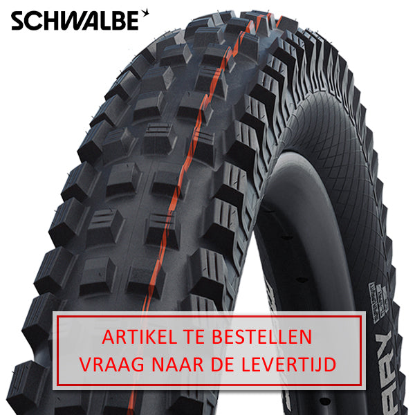 Vouwband Schwalbe Magic Mary Super Gravity 29 x 2.60 65-622 mm - zwart