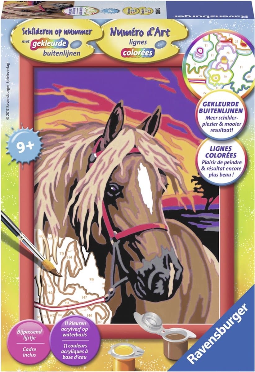 Ravensburger schilderen op nummer droompaard - hobbypakket