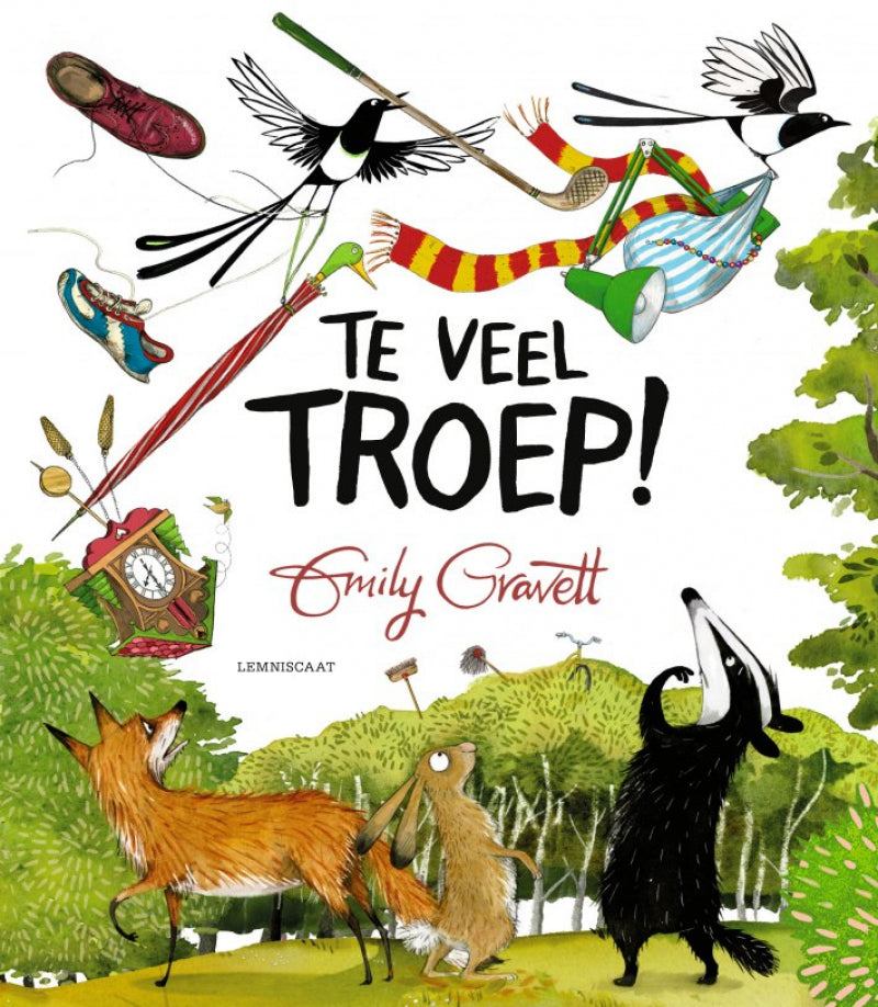 Lemniscaat te veel troep!