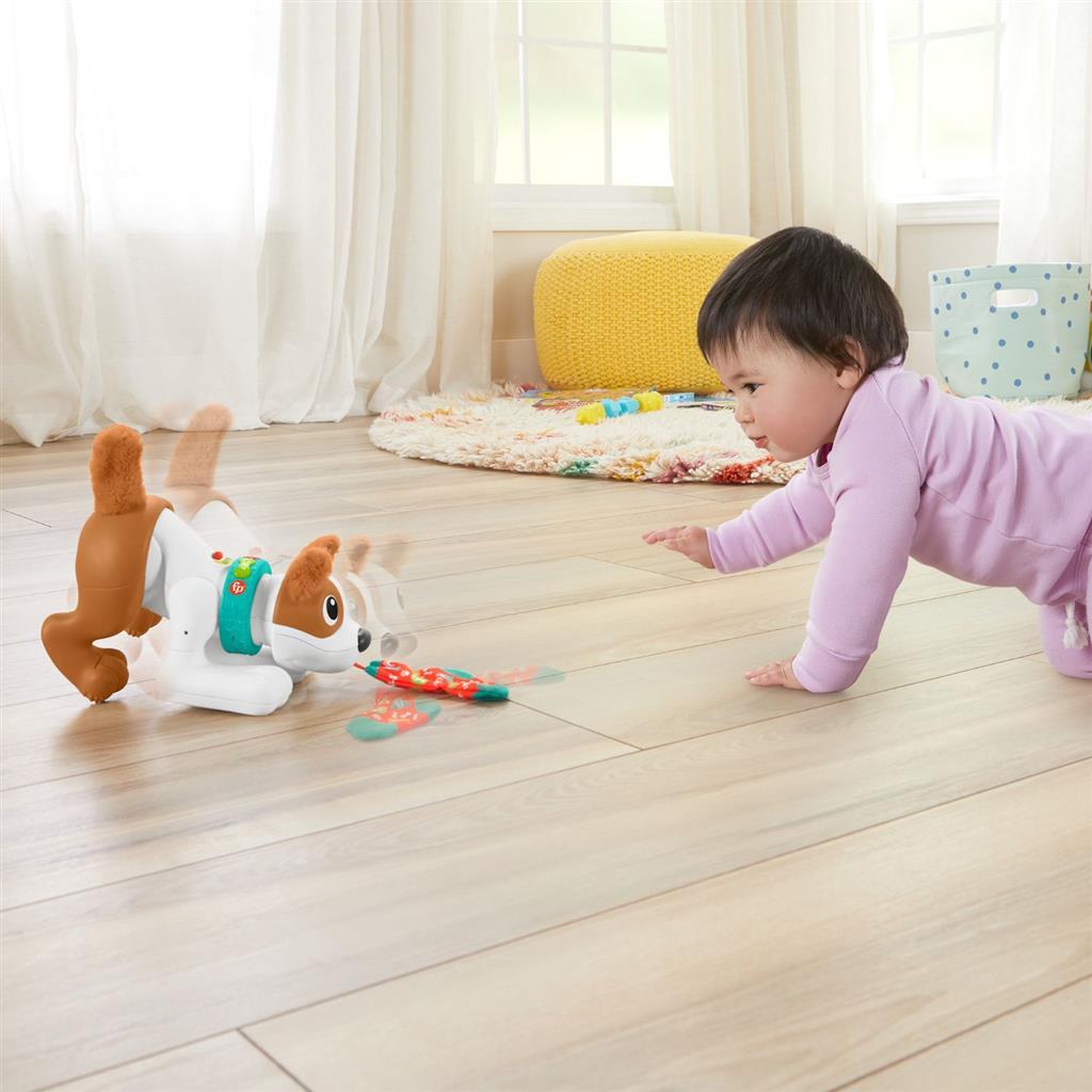 Fisher price crawl with me puppy + licht en geluid