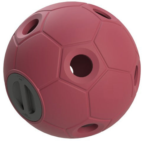 Producten voerspeelbal soccer roze