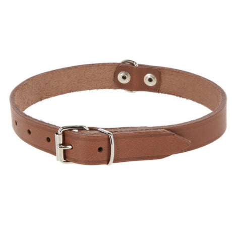 Producten hondenhalsband leer 16mm taupe