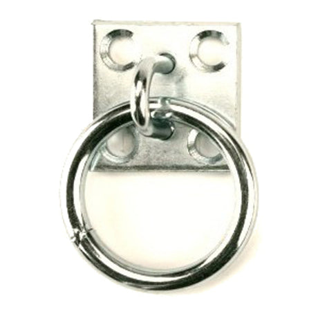 Producten muurplaat met ring 8mm rvs per stuk gelabeld
