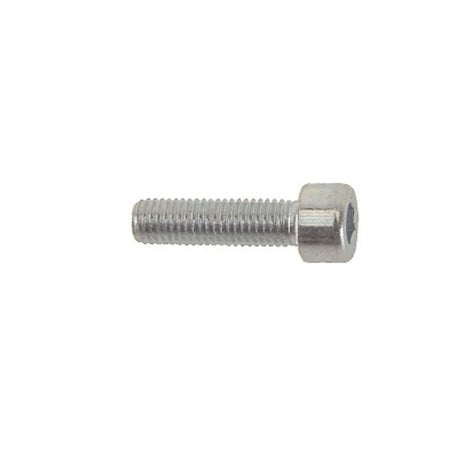 Inbusbout M6x25 RVS per 25