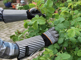 Keron producten rozen brandnetelhandschoen mt10xl rosegarden lange manchet