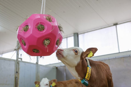 Producten voeder speel bal roze