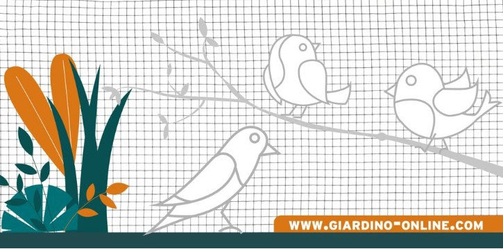Giardino producten gaas gelast verzinkt 8 3 0 8 1 01m x 2 5m
