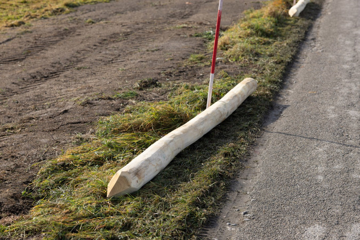 Ako producten robiniapaal hoek 250cm hoog 14 16cm