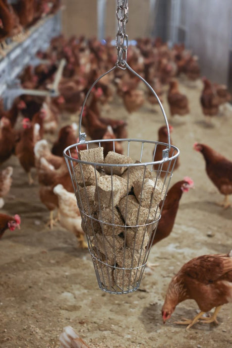 Producten hooiruif voederkorf groenvoertrog gegalvaniseerd 50cm