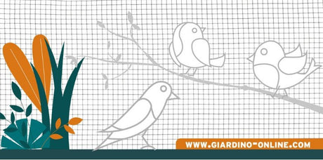 Giardino producten gaas gelast verzinkt 19 1 05 0 51m x 25m
