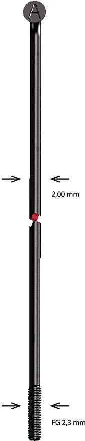 Alpina speiche spoke sst 2x262 mm b
