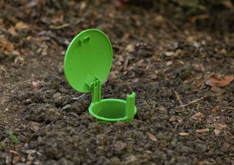 Slakkenval snailbowl 15cm