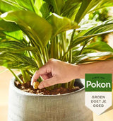 Pokon terras balkon planten voedingskegels 10st