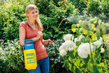 Gloria producten drukspuit prima 3 knst 3 liter
