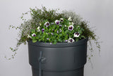 Producten regenton gardenplanter 230l