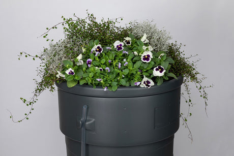 Producten regenton gardenplanter 230l