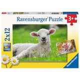 Ravensburger puzzel boerderijdieren - legpuzzel - 2x12 stukjes