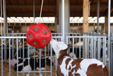 Producten voederspeel bal rood