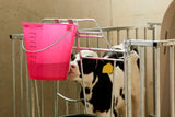 Producten kalveremmer kunststof afgeplat kaal roze transparant
