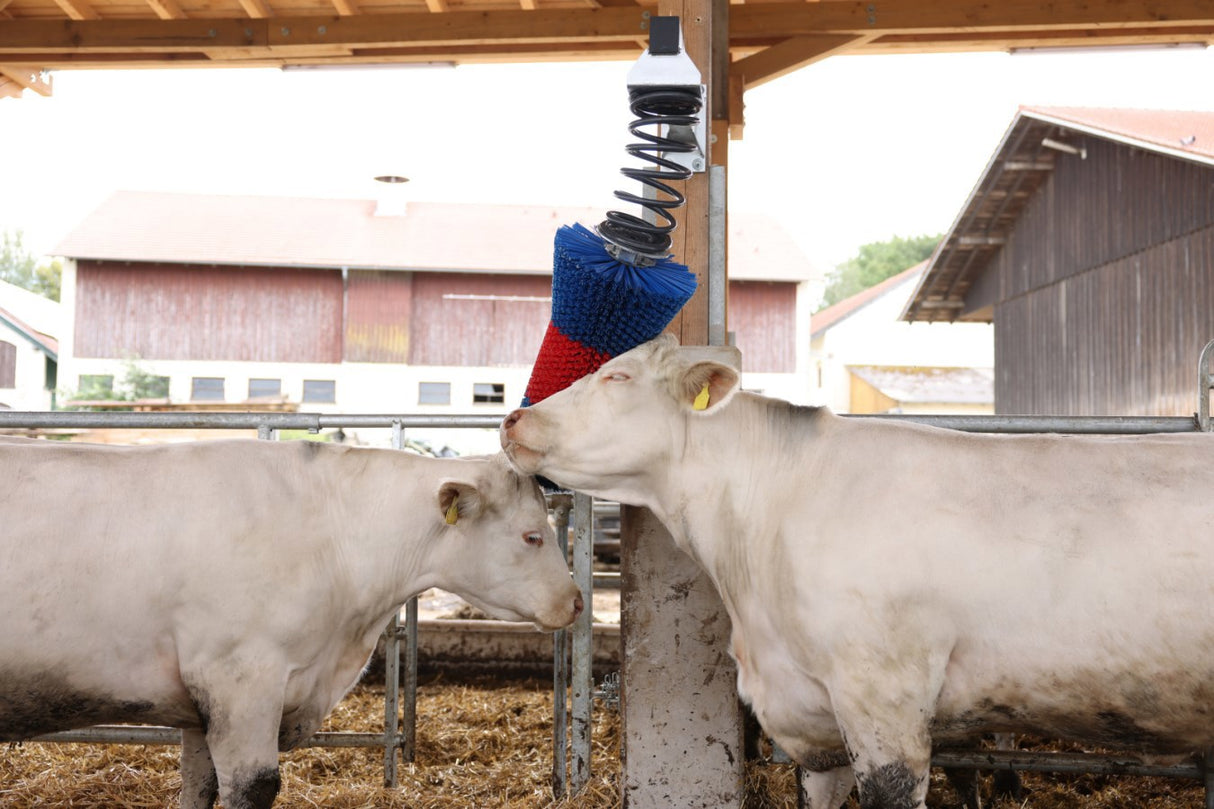 Producten happycow veeborstel flexiswing
