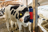 Producten halfronde koeborstel veeborstel blauwrood xl