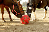 Producten voederspeel bal rood