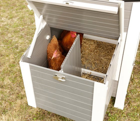 Producten kippenhok eco stal kunststof barney