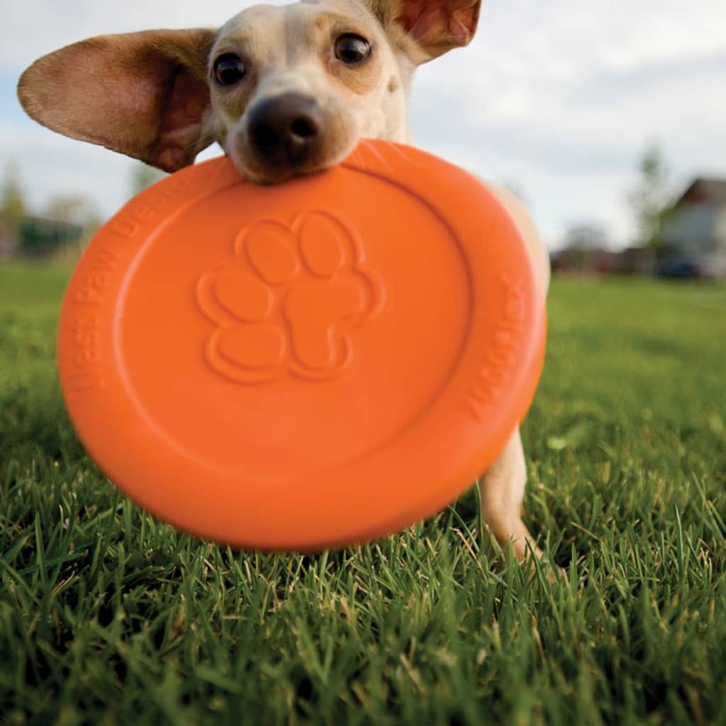 Zogoflex Zogoflex Hondenfrisbee Zisc oranje maat L 1937