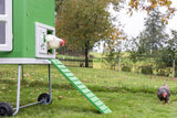 Abi producten mobilecoop kunststof kippenhok