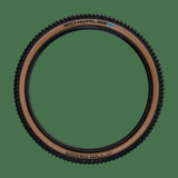 Schwalbe - wicked will tle super race transparant skin 29x2.40