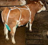 Producten uiernet compleet