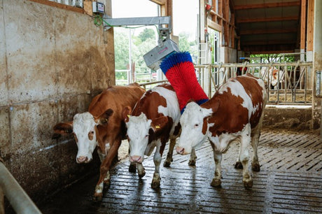 Producten happycow koeborstel maxiswing