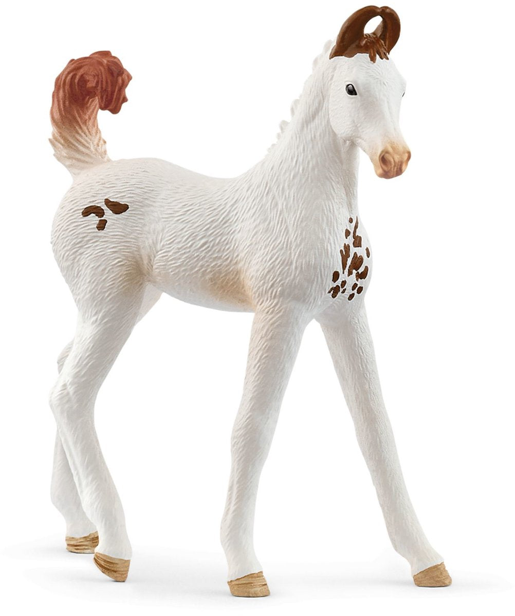 Schleich horse club - marwari veulen - 14896