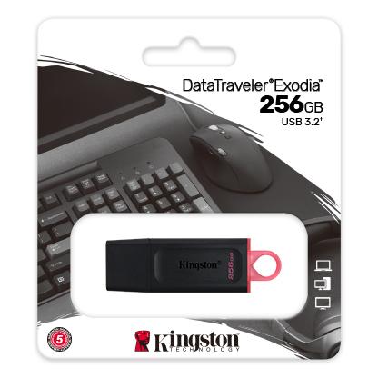 Kingston DataTraveler Exodia 256 GB