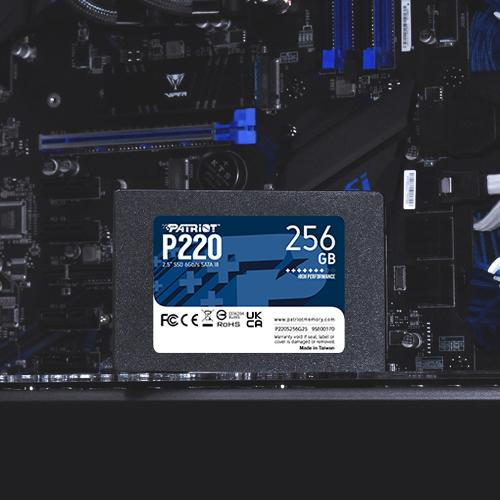 Patriot P220 256 GB