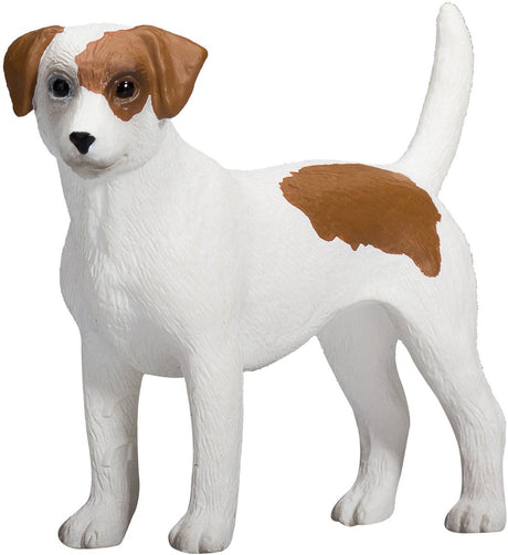 Mojo farmland jack russell terriër - 387286