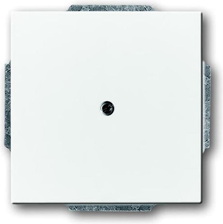 Busch-jaeger abb future solo bedieningselement centrale plaat schakelmateriaal - 2cka001710a3161 - e2eyd