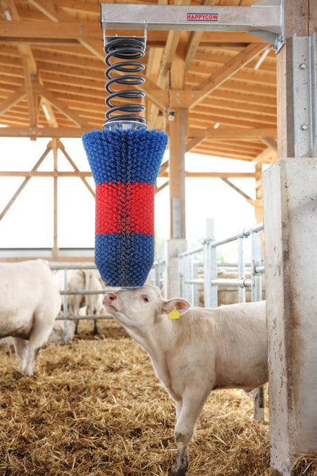 Producten happycow veeborstel flexiswing