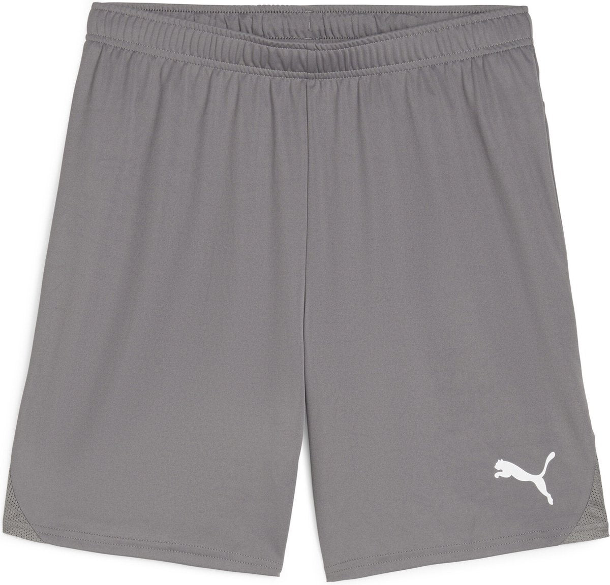 Puma teamgoal shorts heren sportbroek - cast iron- white