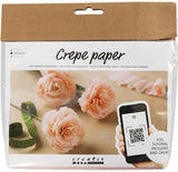 Creativ company mini hobbyset crepepapier anjers