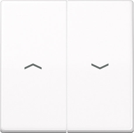 Jung as500 schakelelement centrale plaat - as591-5pww - e32r4
