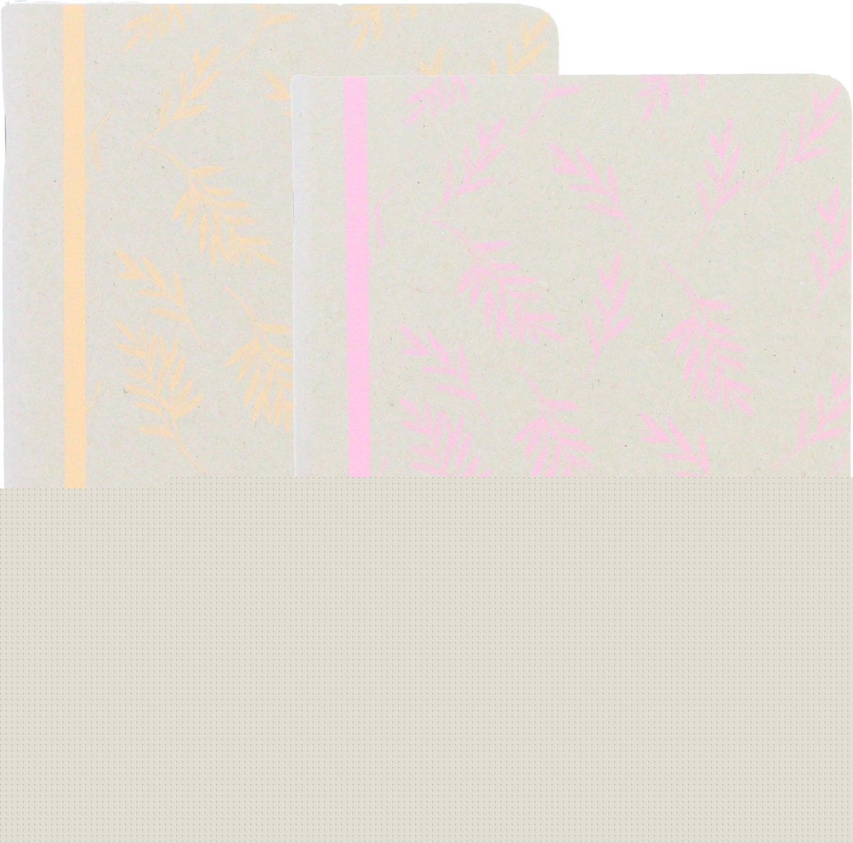 Kangaro schriften - ecologique - formaat a5 - met ruit 5mm - 2 stuks - an-116076-a