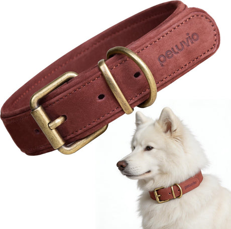Peluvio rexor – leren hondenhalsband – bruin – m-l 37-47 cm – 3,5 cm breed – verstelbare halsband van rundleer – koperen gesp – voor grotere middelgrote honden