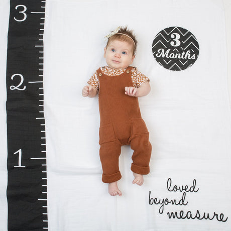 Lulujo baby's first year - swaddle cards - loved beyond measure
