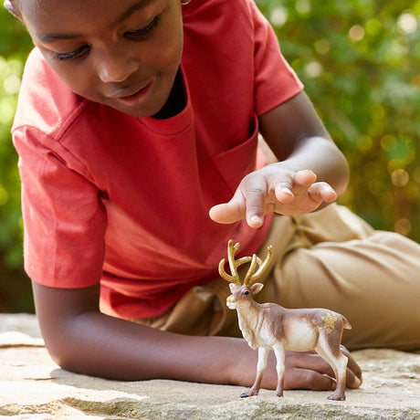 Schleich wild life - rendier - speelfiguur - kinderspeelgoed voor jongens en meisjes - 3 tot 8 jaar - 14837