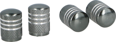 Dunlop ventieldoppen av aluminium zilvergrijs 4 stuks