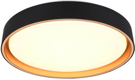 Rl live your light reality felis - plafondlamp - zwart-goud - incl. 1x smd 24w - dimbaar - memory functie - aanpasbaare lichtkleur